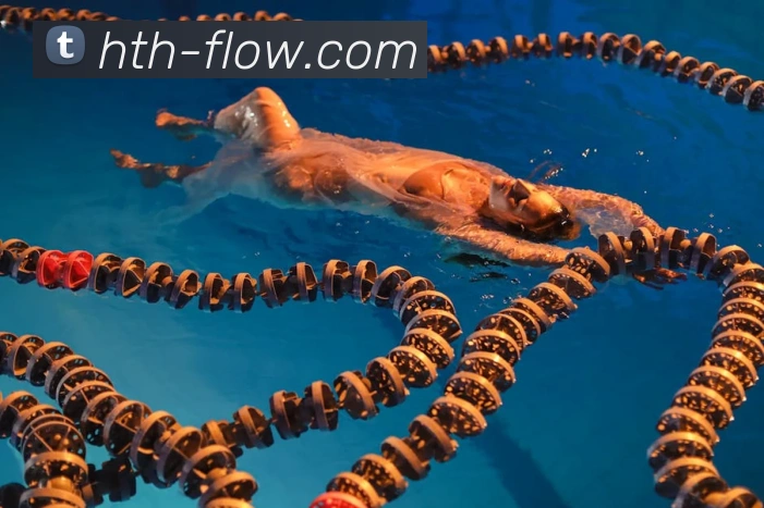 华体会服务体系